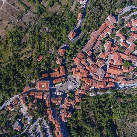Gorgeous In Labin (Istria)
